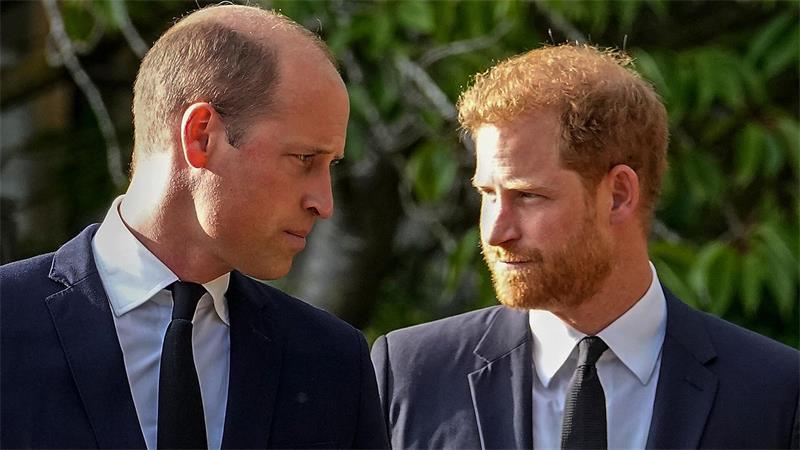 Knapp 30 Jahre nach dem Tod ihrer Mutter trennt die Brüder William und Harry ein tiefes Zerwürfnis. (Archivfoto)
