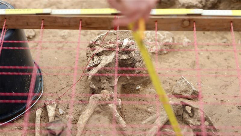Knochen und Skelette wurden bereits freigelegt.