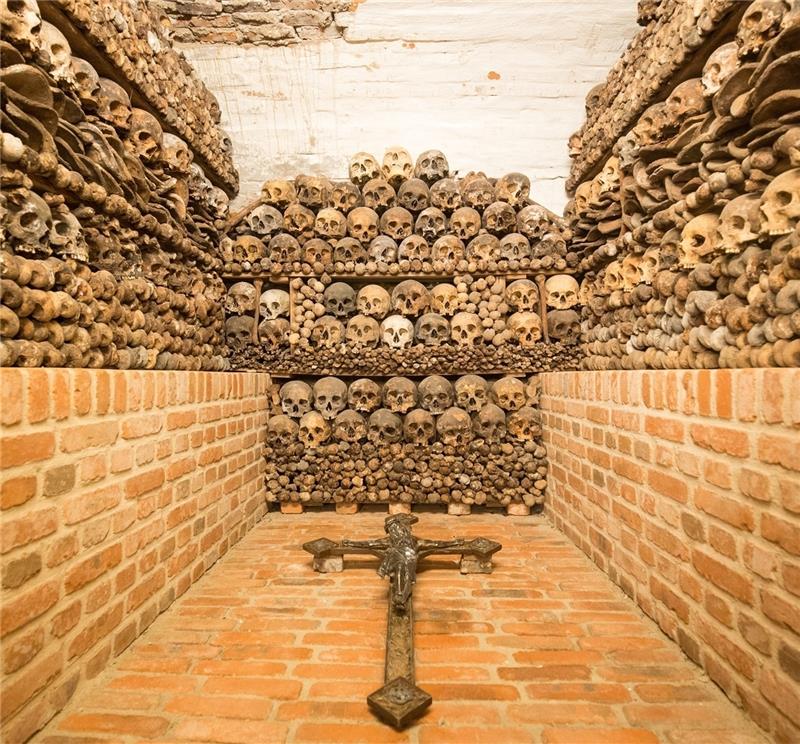 Knochen von Verstorbenen sind in Hamburgs einzigem Beinhaus in St. Pauli zu sehen. Foto Charisius/dpa