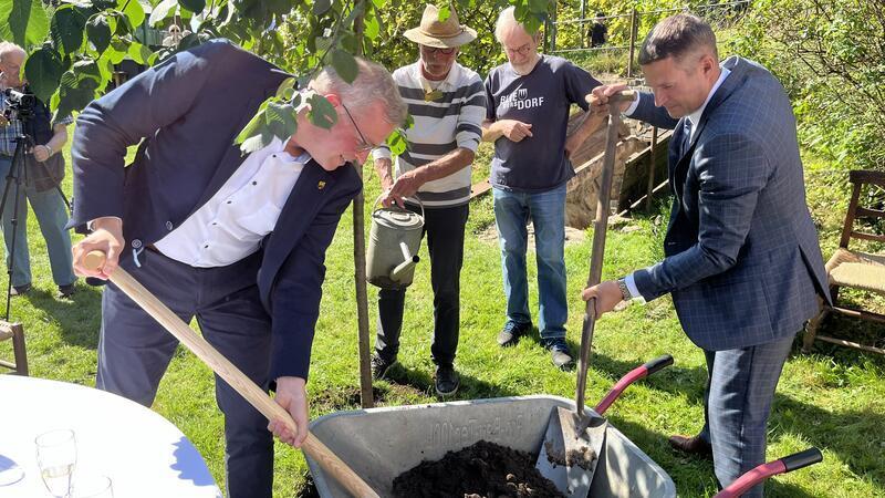 Knut Willenbockel und Edgars Mekss pflanzen einen Baum.