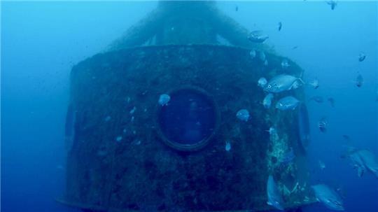 Koch drehte auch Videos von Fischen aus seiner Kapsel.