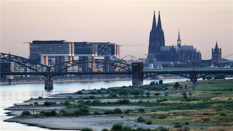 Köln wählt am Sonntag einen neuen Oberbürgermeister bzw. eine neue Oberbürgermeisterin. (Archivbild)