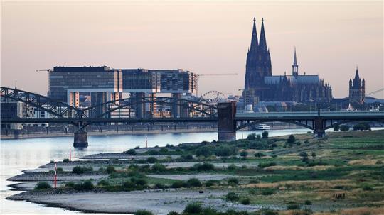 Köln wählt am Sonntag einen neuen Oberbürgermeister bzw. eine neue Oberbürgermeisterin. (Archivbild)