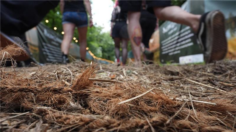 Können die Moorgras-Matten Matsch verhindern?