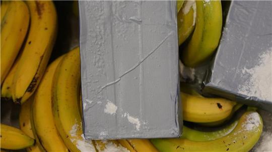 Kokain-Dealer suchen sich nach Angaben von Europol immer neue Schmuggelwege. (Symbolbild)