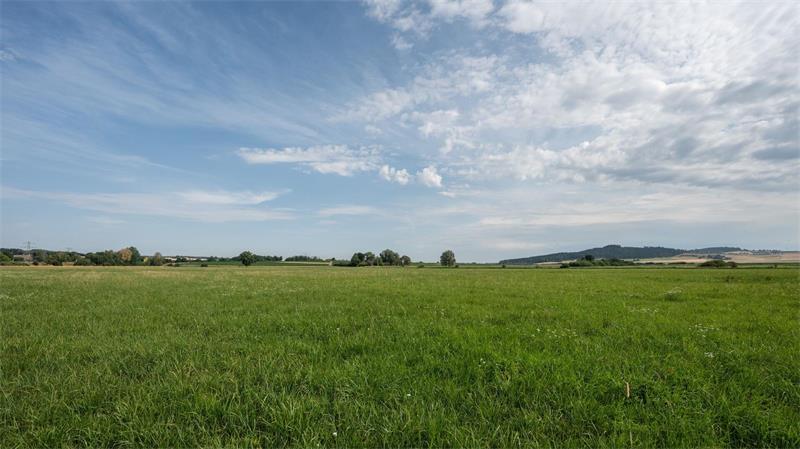 Juckreiz im Sommer? Schuld sein könnte die Herbstgrasmilbe Kommen auf Wiesen, in Parks, in Gärten oder auf anderen Grünflachen vor: Herbstgrasmilben.