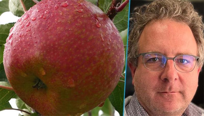 Obstbau: Explodierende Kosten sind ein Weckruf Kommentator Björn Vasel.