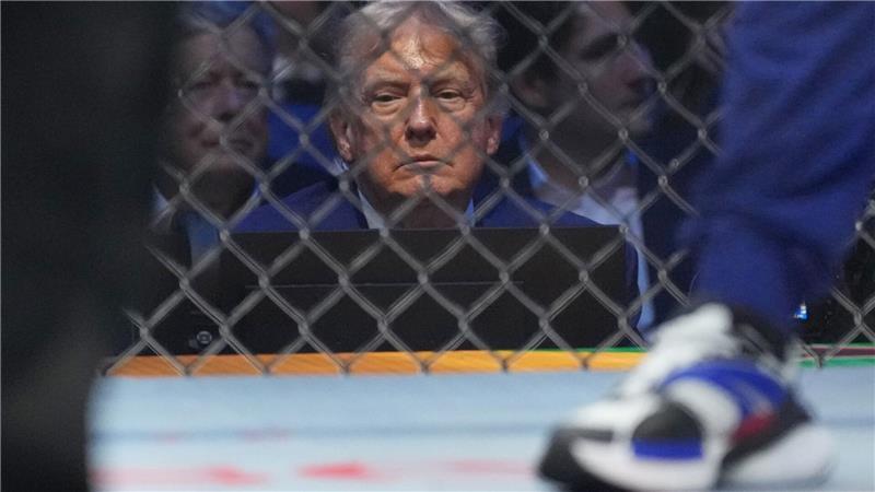 Konzentriert scheint US-Präsident Donald Trump einen Kampf bei den  UFC Freedom 250 zu verfolgen