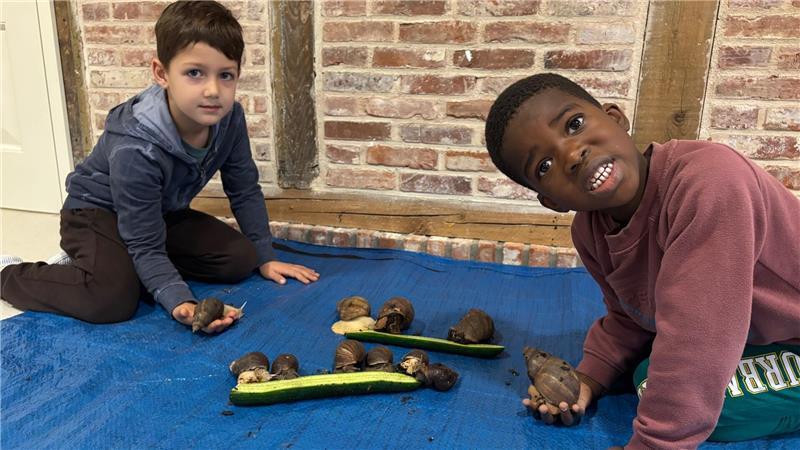 Kornel (links) und Eddi beobachten die Schnecken der Kita Neuland. In der ihnen eigenen Langsamkeit wirken die Tiere beruhigend auf Kinder.