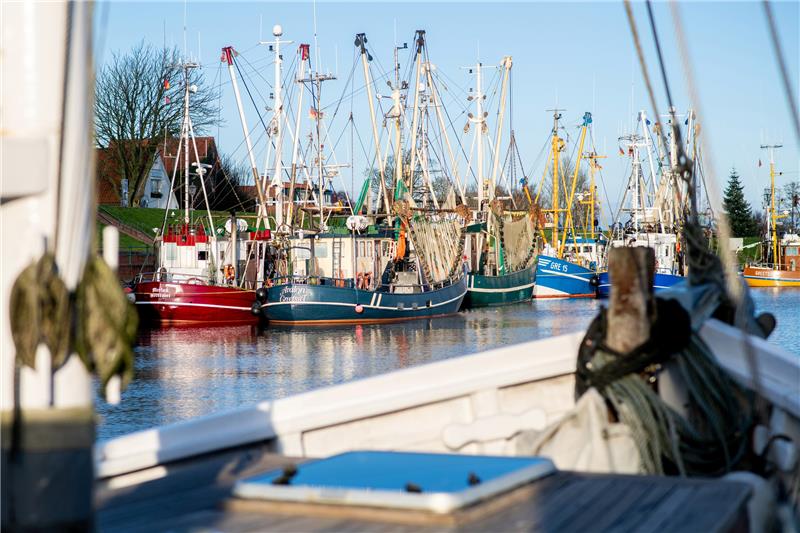 WWF: Fischerei hat sich bei Meeresschutz zuletzt zu wenig bewegt Krabbenkutter im Hafen. Wenn Grundschleppnetze verboten werden, bleiben aus Sicht der Fischer kaum noch Fanggebiete vor den Küsten, in denen die traditionelle Krabbenfischerei betrieben werden könnte. Foto: Hauke-Christian Dittrich/dpa