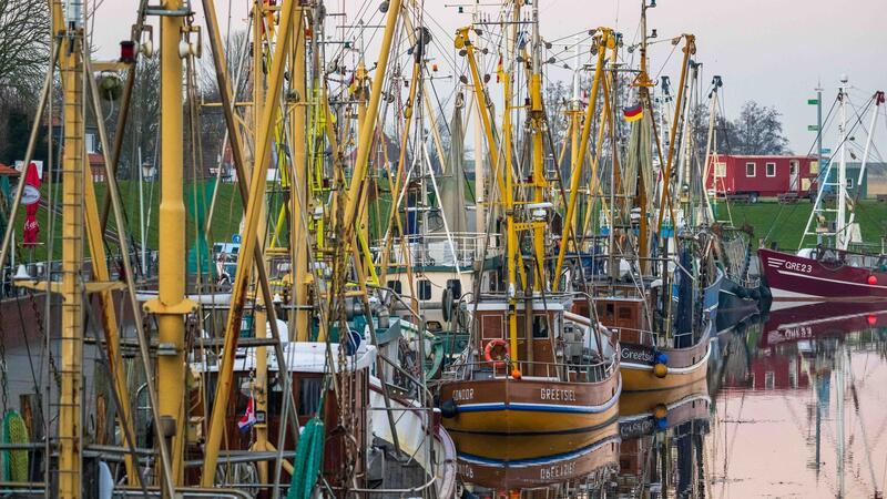 Krabbenkutter liegen in einem Hafen.