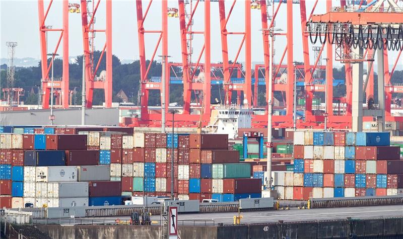 Ifo: Exporterwartungen sinken weiter Kräne und Container im Hamburger Hafen.