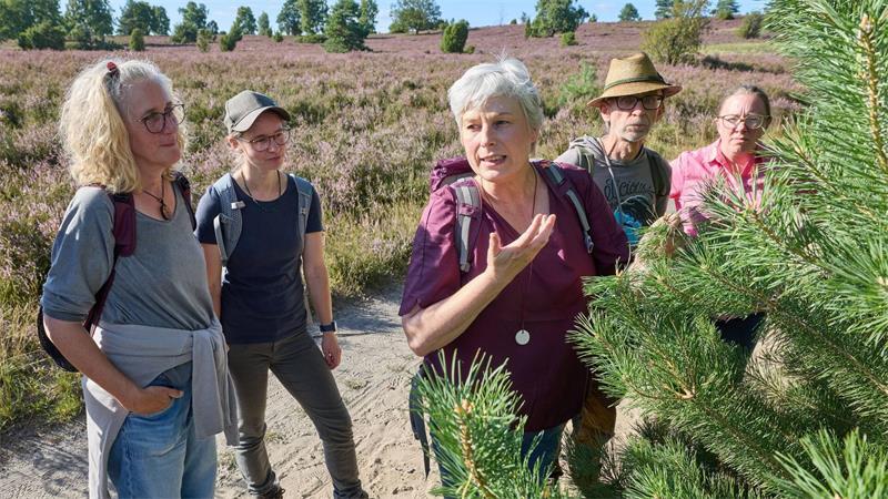 Kräuterfachwirtin Marion Putensen (M) in der Lüneburger Heide. 