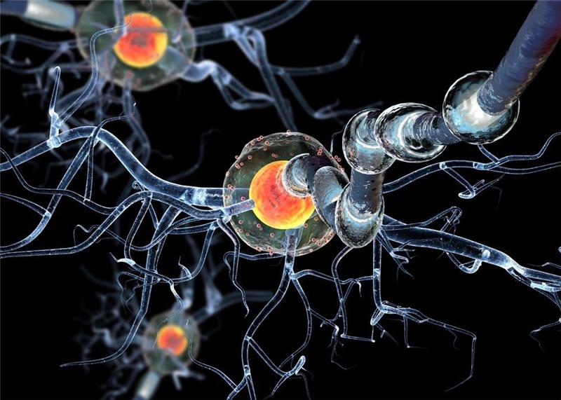 Kranke Nervenzellen bei Multiple Sklerose. Quelle: Shutterstock/Ralwel/BPI Bundesverband der Pharmazeutischen Industrie/obs