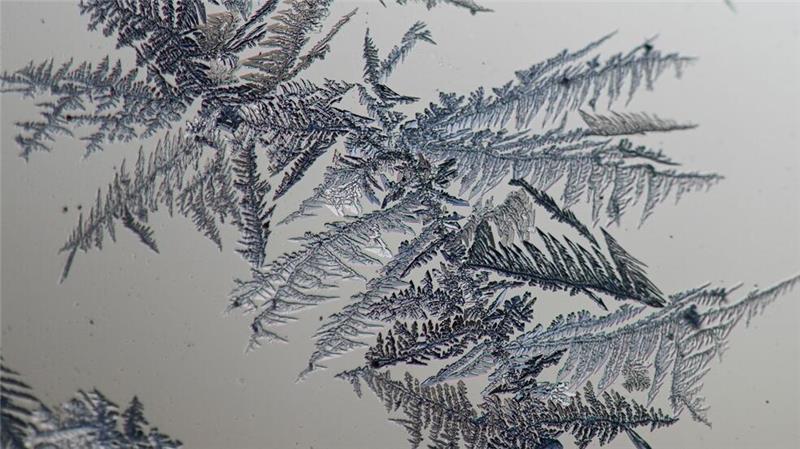 Warum auch bei Kälte kaum noch Eisblumen wachsen Kratzer, Staub und Rillen im Glas dienen als Startpunkt für das Wachstum der Eisblumen. (Archivbild)