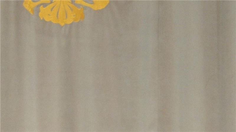 Kremlchef Putin im Obersten Gericht - einer der Richter ist wegen Korruption und Zuhälterei angeklagt. (Archivbild)