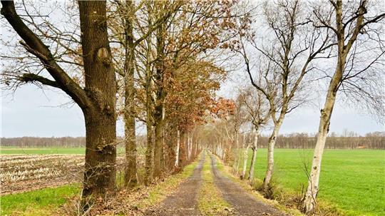 Kritik an der Raumordnung: Die Gemeinde Hammah fordert eine Rücknahme der Gebietskulissen „Natur und Landschaft, Biotopverbund und Torferhalt“ für Flächen wie hier in Groß Sterneberg.
