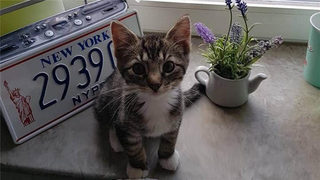 Krümel hat einiges erlebt, bis sie zu Manuela Klingenberg kam. Gern erinnert sie...