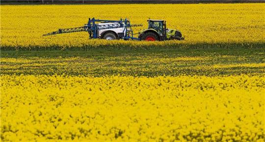 Künftig sollen deutlich weniger Pflanzenschutzmittel eingesetzt werden. Foto: Büttner