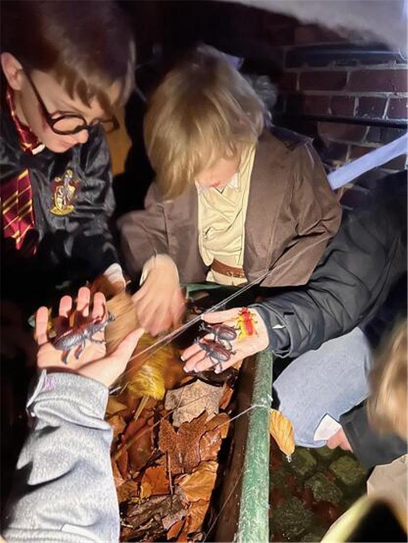 Künstliche Käfer aus einem Laubhaufen wühlen - auch das fühlt sich ein bisschen gruselig an.