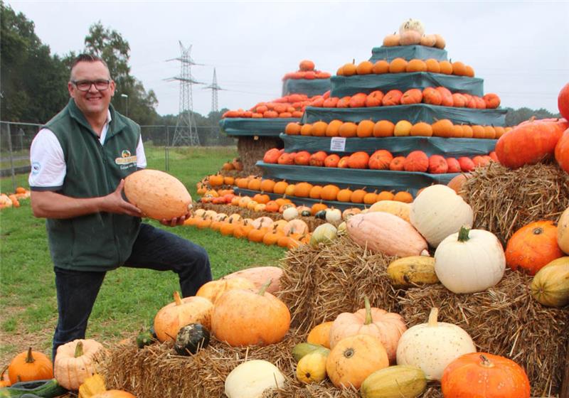 Kürbis-Experte Heiner Bartels an seinen liebevoll aufgebauten Erntepyramiden an der B 3 nahe der A-1-Abfahrt Rade. Fotos: Michaelis