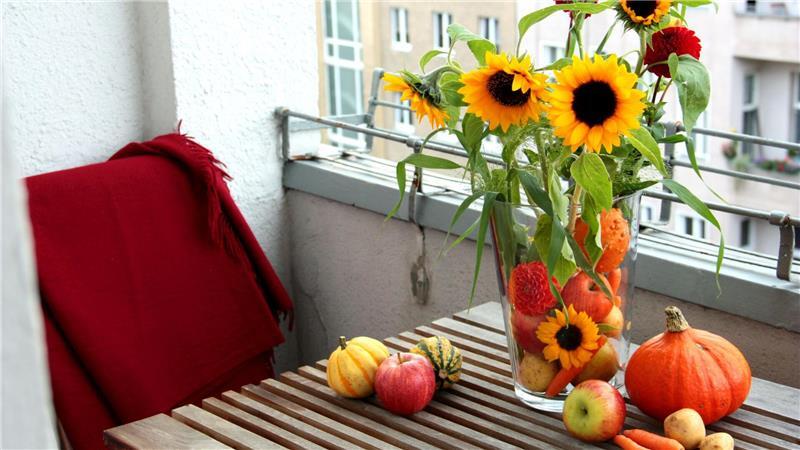 So einfach gelingt eine Herbst-Deko mit Kürbissen Kürbisse und Blumen: Eine schöne Idee für Balkon und Wohnung.
