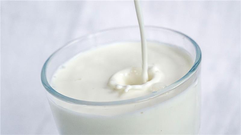 Kuh oder Pflanze? Sieben Milchmythen im Check Kuhmilch - von Natur aus voller wichtiger Nährstoffe, aber in der Herstellung nicht unbedingt gut für sie Umwelt