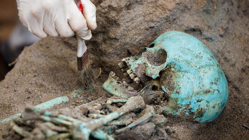 Riesiger Pestfriedhof birgt wissenschaftliche Schätze Kupfer hat die Knochen grün verfärbt.