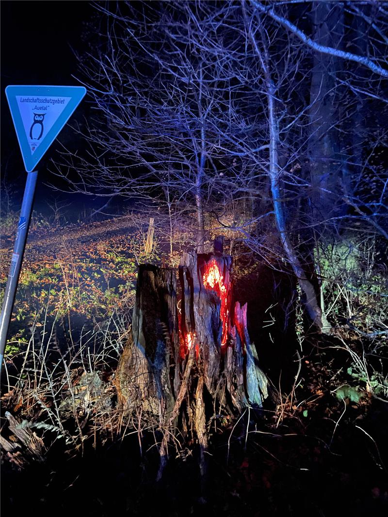 Kurioser Anblick: In der Straße "Auf dem Klingenberg" brannte ein Baumstumpf - und das, obwohl es den ganzen Tag geregnet hatte. Foto: Feuerwehr Harsefeld / Vallentin