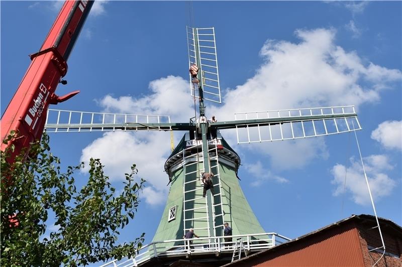 Kurz nach 16 Uhr ist das Flügelkreuz montiert (Durchmesser: 21,40 Meter). Der ortsbildprägende Galerieholländer sieht wieder schick aus. Heute sollen die verstellbaren Jalousieklappen montiert werden.