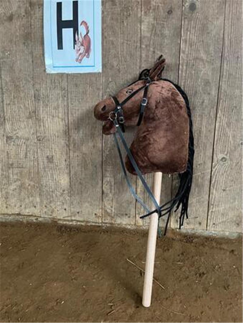 Hobby-Horsing als Wettbewerb: Trainerin aus Großenwörden kontert Kritik Kurze Pause - auch fürs Steckenpferd.
