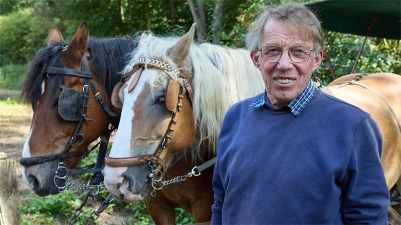 Kutscher Jürgen Hillmer zur Heideblüte.
