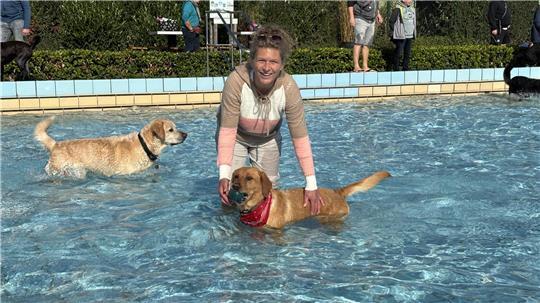 Labrador Retriever Enni kam mit Bianca Kuwatsch zum Hundeschwimmen.