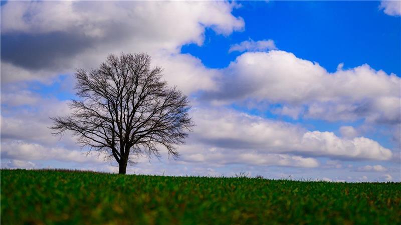 Landschaft kann so romantisch sein! Wolken ziehen über einen einzelnen Baum im südöstlichen Brandenburg. 