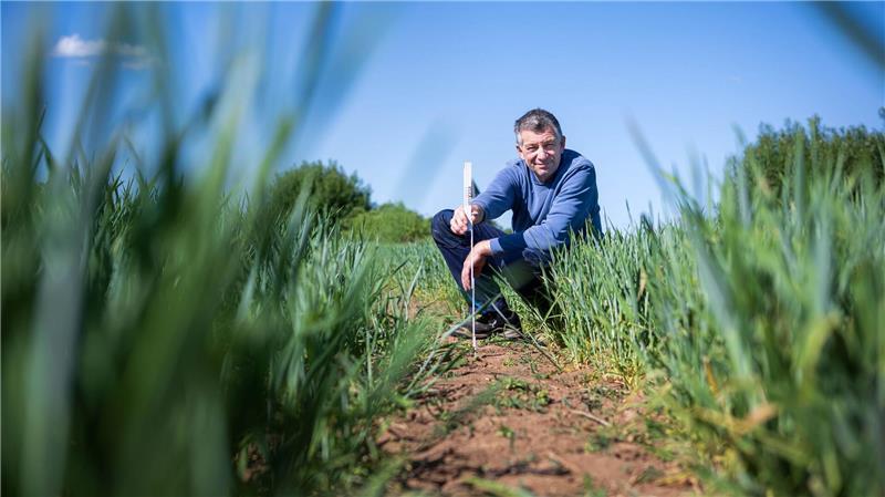 Wegen der Trockenheit: Aufruf zu sparsamem Wasserverbrauch Landwirt Eckart Hoehne aus Bremen sorgt sich um seinen Ertrag.