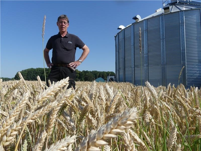 Landwirt Frank Studt aus Wischhafen in einem seiner Weizenfelder. Er hat 100 Prozent seines Mineraldüngerbedarfs für das Jahr 2023 bereits im Juni gekauft – zu extrem hohen Preisen. Er ist auf Nummer sicher gegangen. Es gibt schon jetzt erh