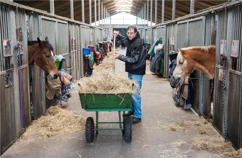 Landwirt Hans-Joachim Krohn füttert auf seinem Bauernhof Pferde in ihrem Stall. Für Bauer Krohn ist die Zukunft des urkundlich 1556 erstmals erwähnten Familienhofs ungewiss. Foto: Bockwoldt/dpa