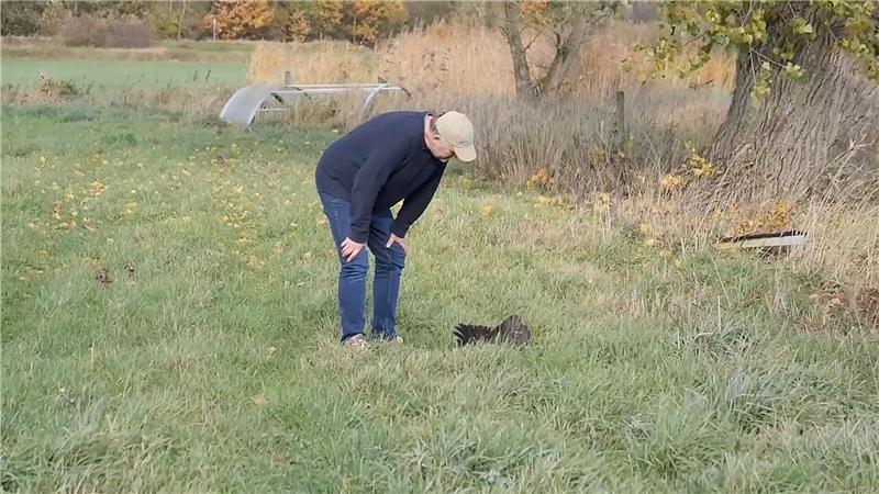 Geflügelpest-Ausbruch ist für Landwirt eine Katastrophe Landwirt Holger Nöhrnberg steht neben einem toten Vogel in der Nähe seines landwirtschaftlichen Betriebes.