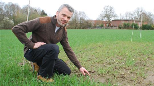 Landwirt Steffen Tobaben-Merkens zeigt am Weizenfeld den Wachstumsunterschied der Pflanzen mit Düngung (links) und ohne Düngung im rechten Abschnitt.