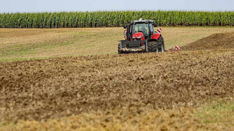 Wetter vermiest Landwirten im Norden die Ernte Landwirte im Norden ernten weniger als erhofft. (Archivbild)