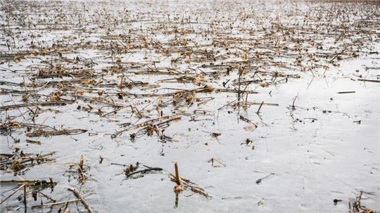 Landwirte in Niedersachsen können nun Anträge für Hochwasserhilfen einreichen. (Archivbild)