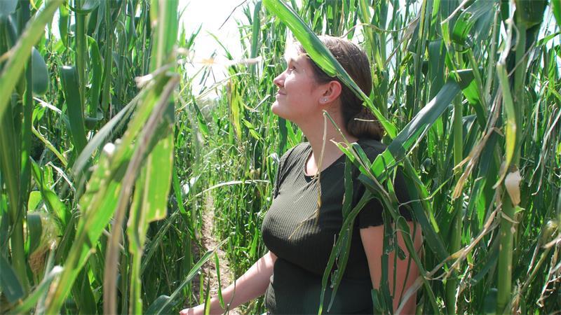 Landwirtin Lea Eckhoff aus Ahrensmoor begutachtet den Schaden auf ihrem Maisfeld in Revenahe.