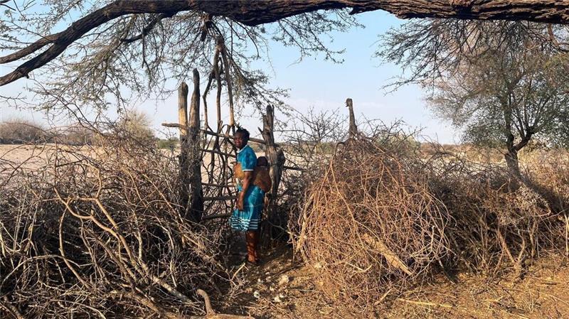 Fluch oder Segen: Hat Botsuana zu viele Elefanten? Landwirtin Rebecca Gatshele wohnt in Morematao, einem kleinen Dorf, das im Norden Botsuanas an den Makgadikgadi Pans Nationalpark grenzt.