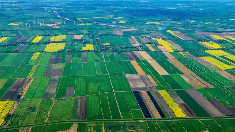 Landwirtschaftliche Flächen bei Balje zwischen Elbe und Oste. Der Landkreis arbeitet daran, dass auf ausgesuchten Flächen eine Lagerung von Kleiboden für den Deichbau zulässig ist.