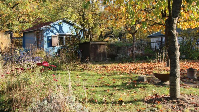 Nabu: Tipps für tierfreundliche Winterquartiere im naturnahen Garten Laub bietet es als dicke Schicht unter Büschen oder als Haufen in ruhigen Gartenecken Rückzugsorte für Igel, Mäuse, Lurche und viele Insekten.