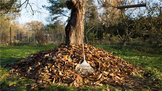 Laubberge im Garten können vielen Tieren im Winter als Unterschlupf dienen.