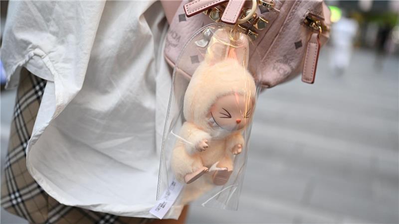 Labubu-Hype - schnell ausverkauft und das wohl mit Absicht Laut Experten sind die Labubu-Figuren etwas, was Leute gerne in der Öffentlichkeit zeigen möchten.