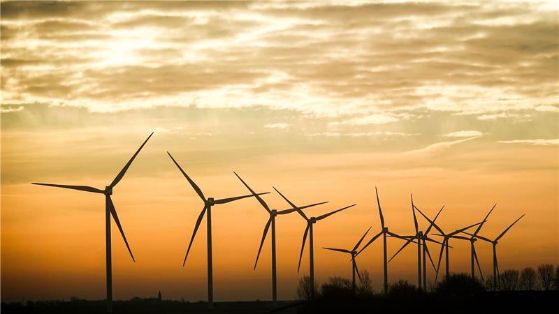 Laut LKA gab es in Schleswig-Holstein in diesem Jahr mehrere Kupfer-Diebstähle aus Windkraftanlagen. (Symbolbild)