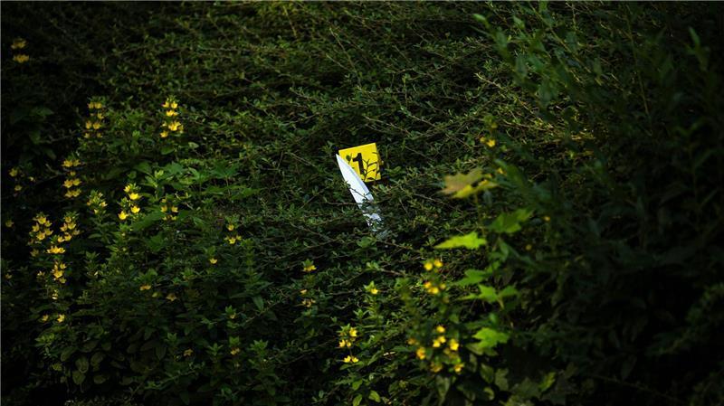 Drei Verletzte bei Auseinandersetzung in Bremen Laut Polizei kamen auch Messer zum Einsatz.