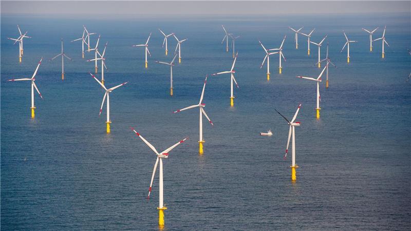 Laut den Richtern fehlt es an Erkenntnissen dazu, ob der Windpark den Lebensraum der Seetaucher beeinträchtigt. (Archivbild)
